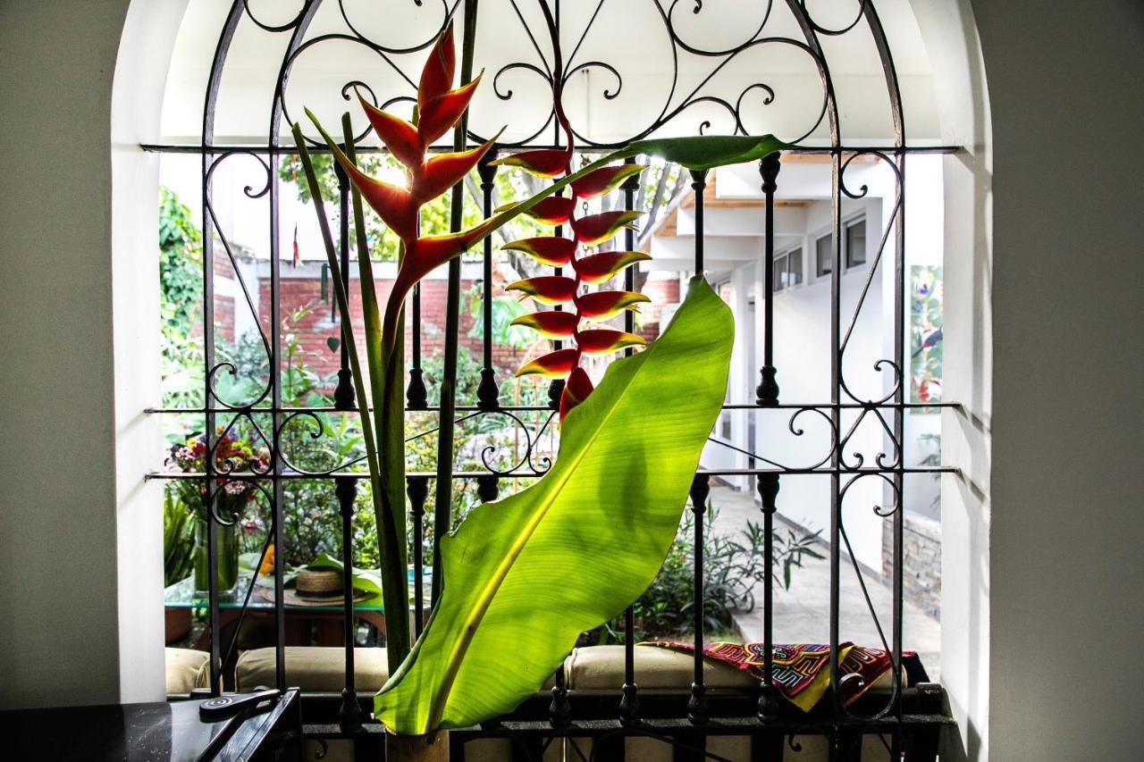 50N15 B&B Cali Luaran gambar